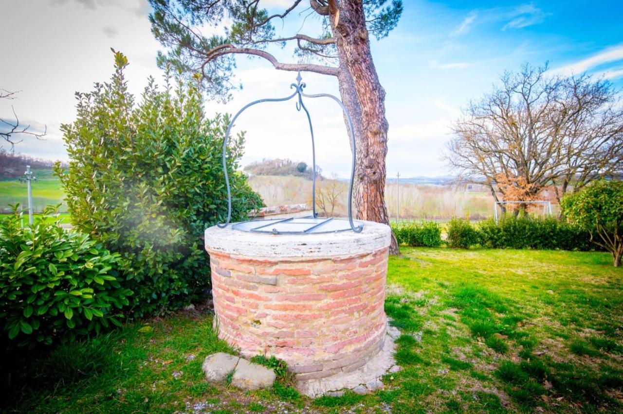 Ulivo-Chianti Charming Flat With Private Parking! Daire Asciano Dış mekan fotoğraf
