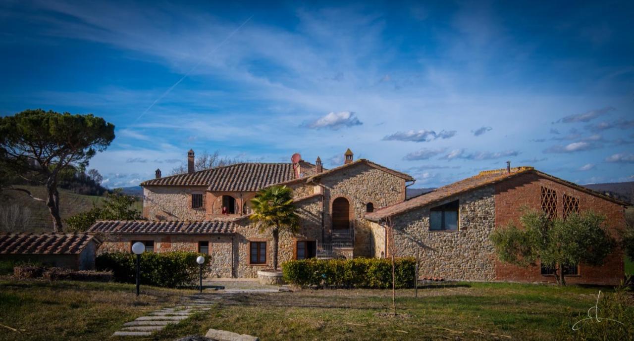 Ulivo-Chianti Charming Flat With Private Parking! Daire Asciano Dış mekan fotoğraf