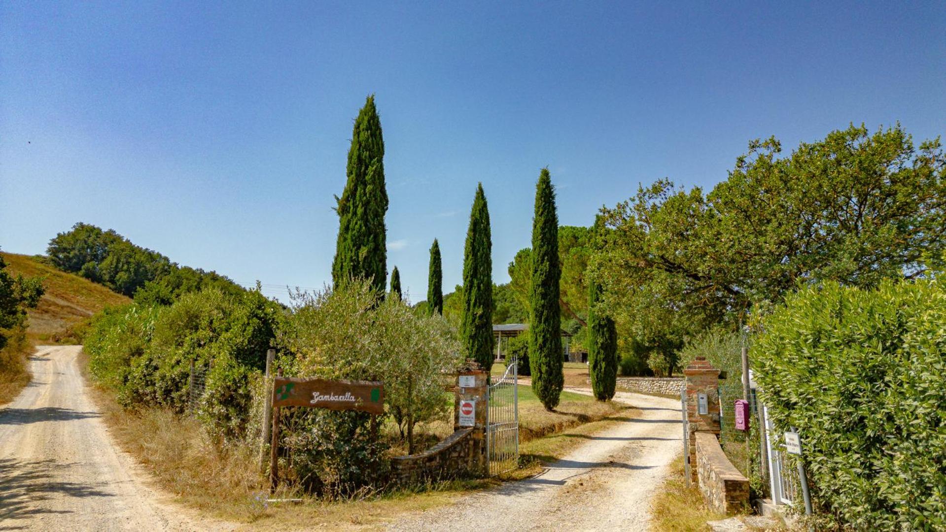Ulivo-Chianti Charming Flat With Private Parking! Daire Asciano Dış mekan fotoğraf